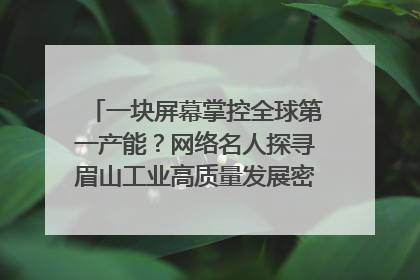一块屏幕掌控全球第一产能？网络名人探寻眉山工业高质量发展密码｜网络名人四川行