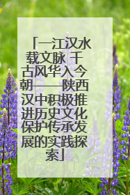 一江汉水载文脉 千古风华入今朝——陕西汉中积极推进历史文化保护传承发展的实践探索