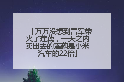 万万没想到雷军带火了莲藕，一天之内卖出去的莲藕是小米汽车的22倍