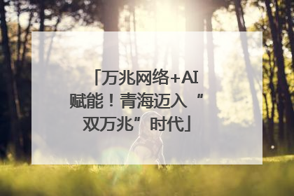 万兆网络+AI赋能！青海迈入“双万兆”时代