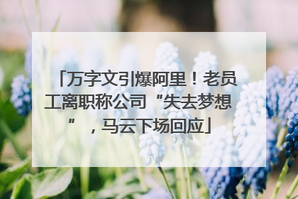 万字文引爆阿里！老员工离职称公司“失去梦想”，马云下场回应