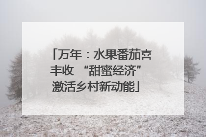 万年：水果番茄喜丰收 “甜蜜经济”激活乡村新动能