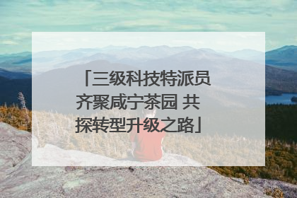 三级科技特派员齐聚咸宁茶园 共探转型升级之路