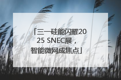 三一硅能闪耀2025 SNEC展，智能微网成焦点