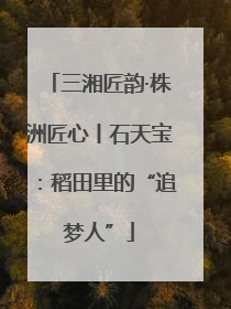 三湘匠韵·株洲匠心丨石天宝：稻田里的“追梦人”