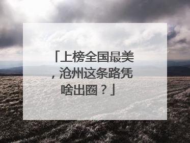 上榜全国最美，沧州这条路凭啥出圈？