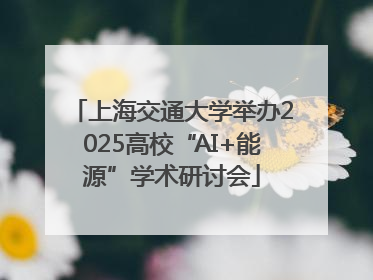 上海交通大学举办2025高校“AI+能源”学术研讨会