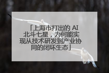 上海市打出的 AI 北斗七星，为何能实现从技术研发到产业协同的闭环生态