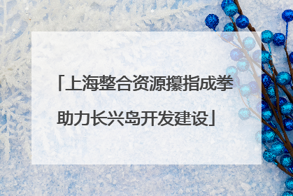 上海整合资源攥指成拳助力长兴岛开发建设