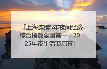 上海连续5年夜间经济综合指数全国第一，2025年夜生活节启幕