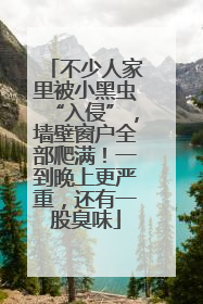 不少人家里被小黑虫“入侵”，墙壁窗户全部爬满！一到晚上更严重，还有一股臭味