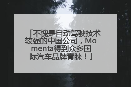 不愧是自动驾驶技术较强的中国公司，Momenta得到众多国际汽车品牌青睐！