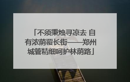 不须秉烛寻凉去 自有浓荫覆长街——郑州城管精细呵护林荫路