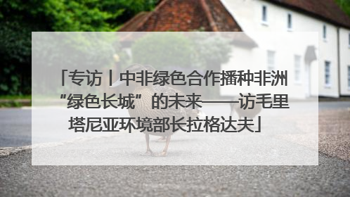 专访丨中非绿色合作播种非洲“绿色长城”的未来——访毛里塔尼亚环境部长拉格达夫