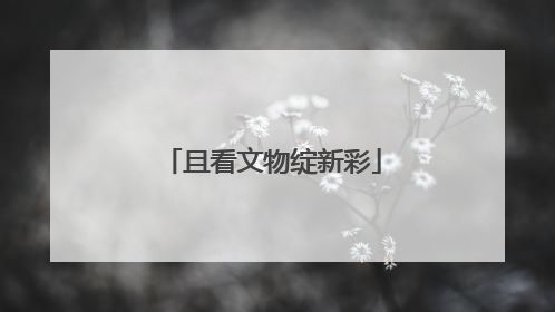 且看文物绽新彩