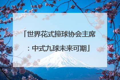 世界花式撞球协会主席：中式九球未来可期