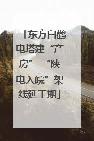 东方白鹳电塔建“产房” “陕电入皖”架线延工期