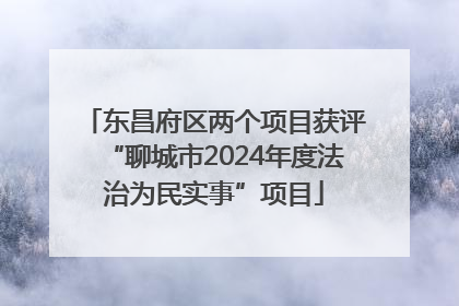 东昌府区两个项目获评“聊城市2024年度法治为民实事”项目
