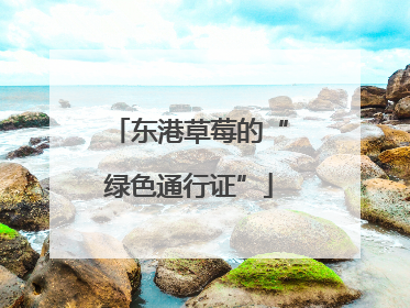 东港草莓的“绿色通行证”