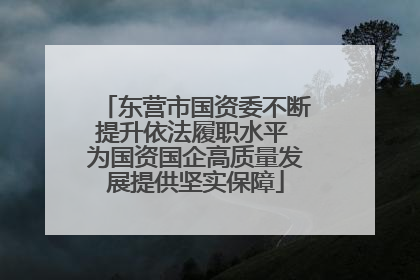 东营市国资委不断提升依法履职水平 为国资国企高质量发展提供坚实保障
