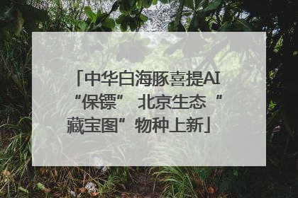 中华白海豚喜提AI“保镖” 北京生态“藏宝图”物种上新