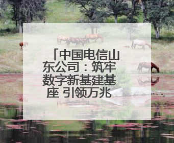中国电信山东公司：筑牢数字新基建基座 引领万兆光网新时代