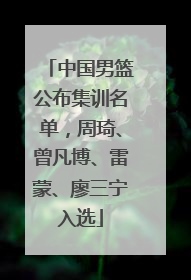 中国男篮公布集训名单，周琦、曾凡博、雷蒙、廖三宁入选