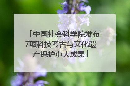 中国社会科学院发布7项科技考古与文化遗产保护重大成果