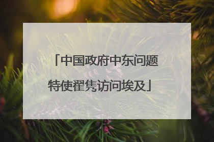 中国政府中东问题特使翟隽访问埃及