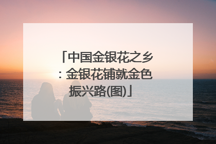 中国金银花之乡：金银花铺就金色振兴路(图)