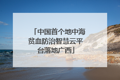 中国首个地中海贫血防治智慧云平台落地广西