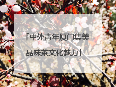 中外青年厦门集美品味茶文化魅力