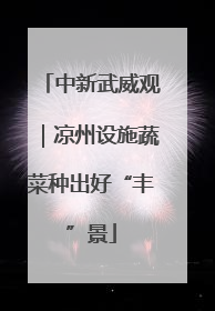 中新武威观｜凉州设施蔬菜种出好“丰”景