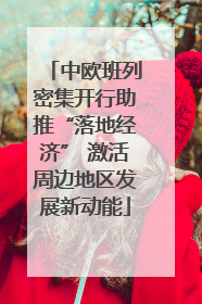 中欧班列密集开行助推“落地经济” 激活周边地区发展新动能