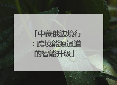 中蒙俄边境行：跨境能源通道的智能升级