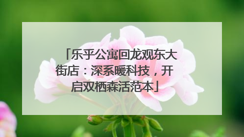 乐乎公寓回龙观东大街店：深系暖科技，开启双栖森活范本