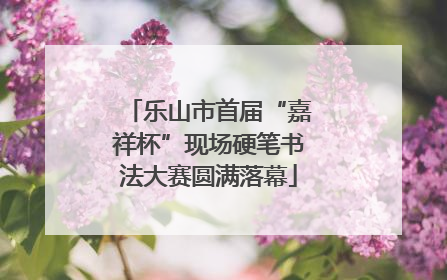 乐山市首届“嘉祥杯”现场硬笔书法大赛圆满落幕