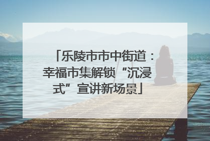 乐陵市市中街道：幸福市集解锁“沉浸式”宣讲新场景