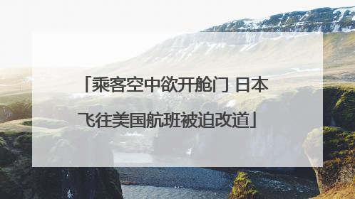 乘客空中欲开舱门 日本飞往美国航班被迫改道