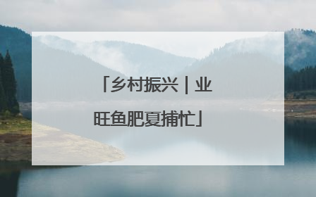 乡村振兴｜业旺鱼肥夏捕忙
