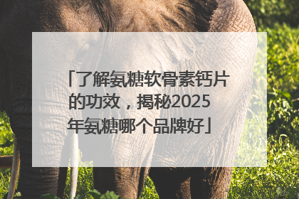 了解氨糖软骨素钙片的功效，揭秘2025年氨糖哪个品牌好