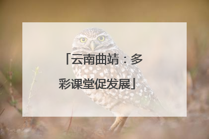 云南曲靖：多彩课堂促发展