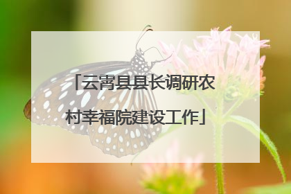 云霄县县长调研农村幸福院建设工作