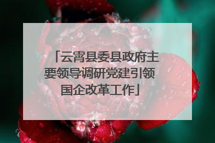 云霄县委县政府主要领导调研党建引领国企改革工作