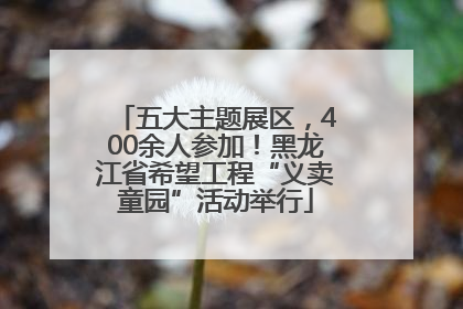 五大主题展区，400余人参加！黑龙江省希望工程“义卖童园”活动举行