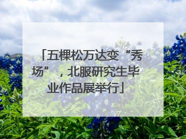 五棵松万达变“秀场”，北服研究生毕业作品展举行