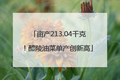 亩产213.04千克！醴陵油菜单产创新高