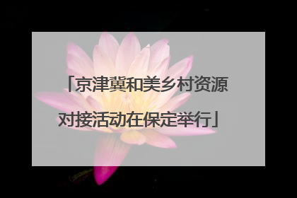 京津冀和美乡村资源对接活动在保定举行