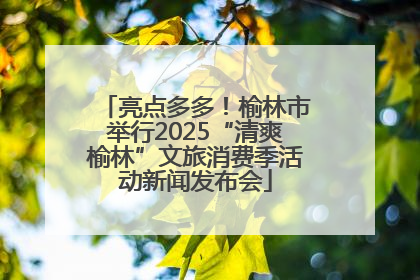 亮点多多！榆林市举行2025“清爽榆林”文旅消费季活动新闻发布会