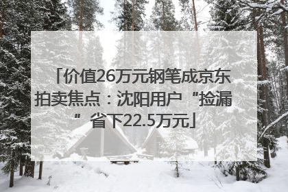 价值26万元钢笔成京东拍卖焦点：沈阳用户“捡漏”省下22.5万元